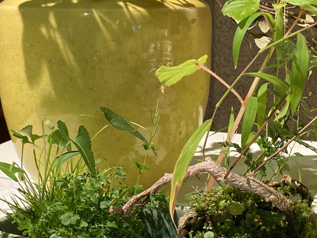 清香齋二號院茶席_3455