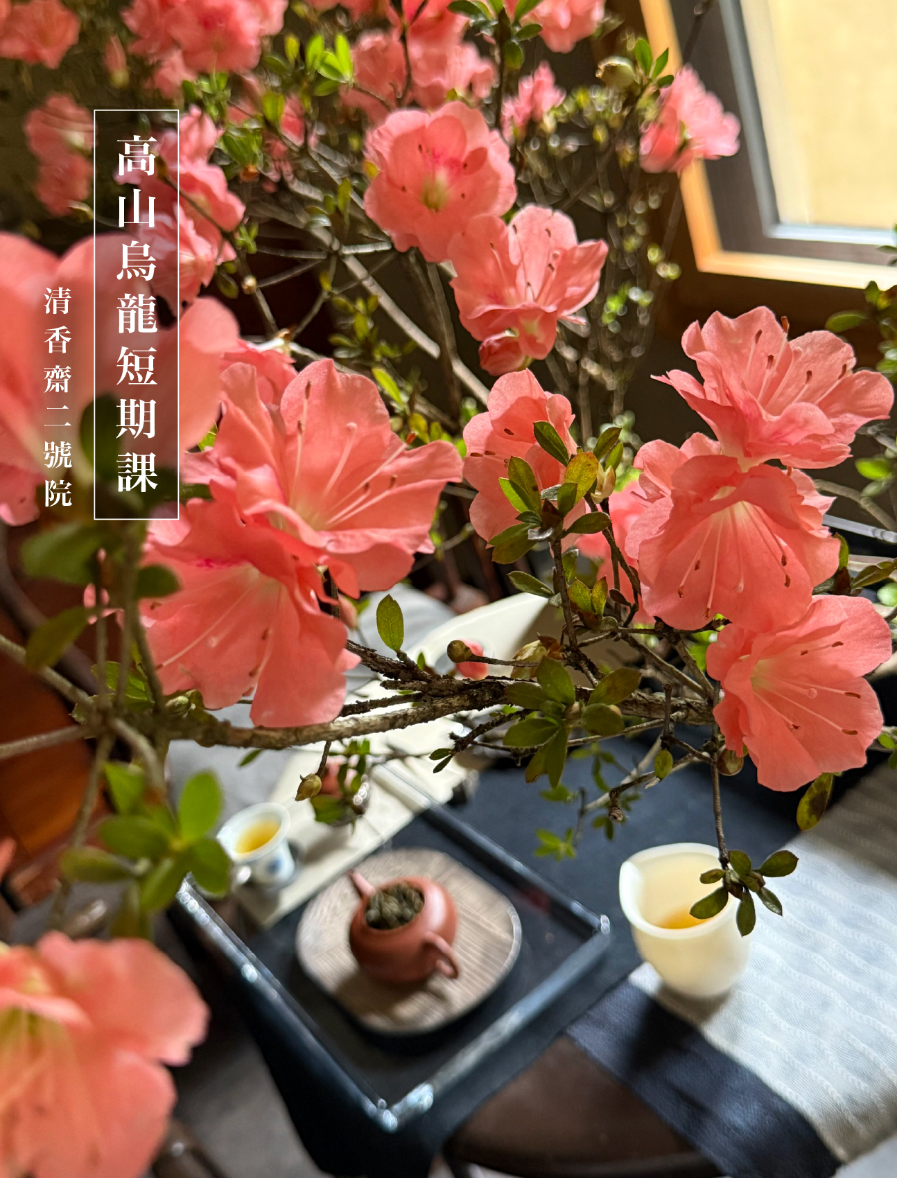 清香齋二號院高山烏龍短期班